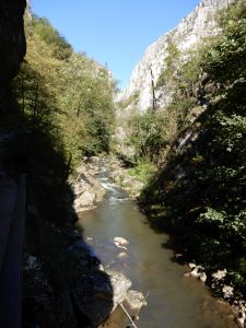 image107